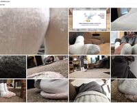 Exchange collection 2