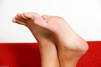 Scandinavian Feet - Natalie - Red Sofa