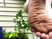 Evil Eva - You Missed a Sp0t Dirt Licker