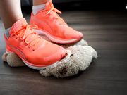 Czech Soles - Daniela's Stomping Tedy Bear Rampage