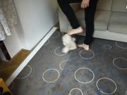 Czech Soles - Double trampling, stomping and POV humiliation