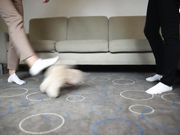 Czech Soles - Double trampling, stomping and POV humiliation