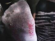 Megansox stinky gym socks vans