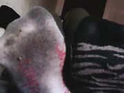 Megansox stinky gym socks vans