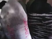 Megansox stinky gym socks vans