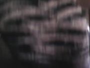 Megansox stinky gym socks vans