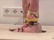 Goddess Gabriella - Facetrampling In High Heels 2