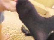 Whitney Morgan-boot & sweaty nylon