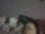 Stockings and High Heels