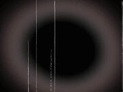 Lexi Parker flips flops and bare feet