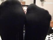 Blonde Girl Stinky Socks