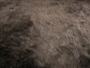 LegsJapan - RuruSakurai - 1 - Hot Pink Lingerie