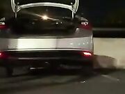 Hot cuckold foot worship