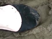 A muddy walk in the park