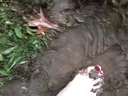 A muddy walk in the park