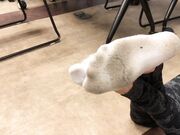 A little fun before morning class