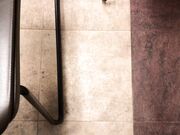 A little fun before morning class