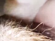 Simple Knotty Team russia