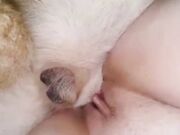 Simple Knotty Team russia