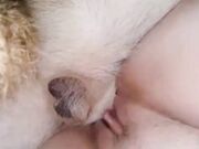 Simple Knotty Team russia