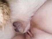 Simple Knotty Team russia