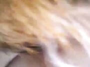 Simple Knotty Team russia