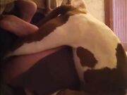 My girlfriend fucking with dog