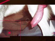 Husband, Wife Dog Beastiality Videos