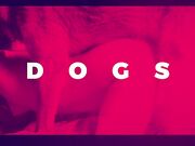 Husband doing double penetration in wife with dog cock