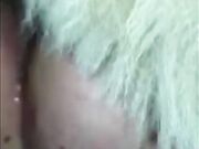 Fucking the family dog 1