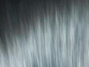 Friends wife and dog