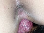 Friends wife and dog