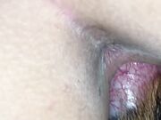 Friends wife and dog