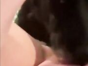 Dog sucks pussy and girl enjoying