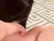 Dog sucks pussy and girl enjoying
