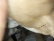 Compilation dog sucking girl's pussy PT 1