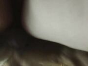 closeup knot pullout Dog fucking