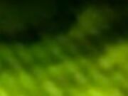 Bella Ink - Sweaty Socks and Gym Feet POV