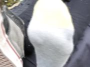 Smelly Natural Feet - Pam - Sweaty socks