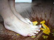 Czech Soles - I'll crush fruits and you ll lick it off of my feet