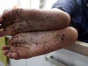 Czech Soles - Madam Cat - Wanna clean my dirty soles