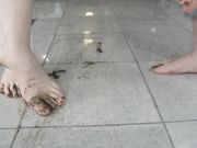 Mistress T. - Foot Piggy POV