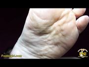 Levi Lynn's Soiled Soles