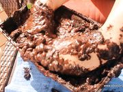 Kelsey - Dirt Cake Diva