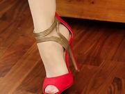 Sophia's Sexy Legwear - Boxed in