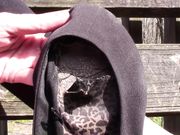 Upcycle - Natalie's black flats from high school review