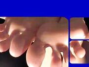 Poison - Toes Sightseeing Flight