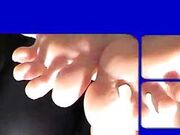 Poison - Toes Sightseeing Flight