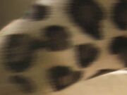 Dreamgirls In Socks - Amelia's Feet In Your Face