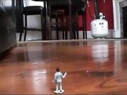 giantess nylon secretary